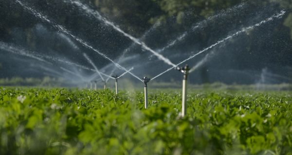 Watering System Installation