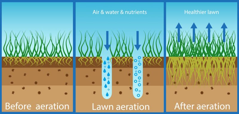 Lawn Irrigation Service
