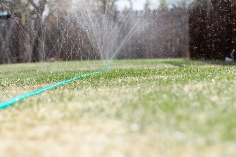 Lawn Irrigation Service