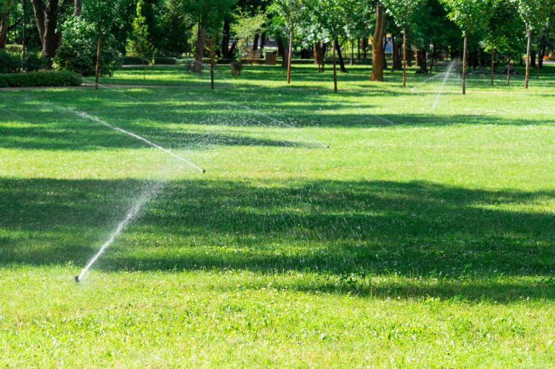 Lawn Irrigation Service