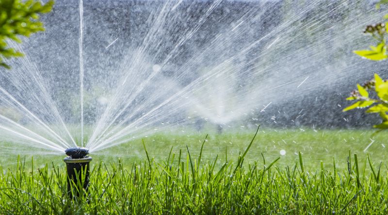 Lawn Irrigation Service