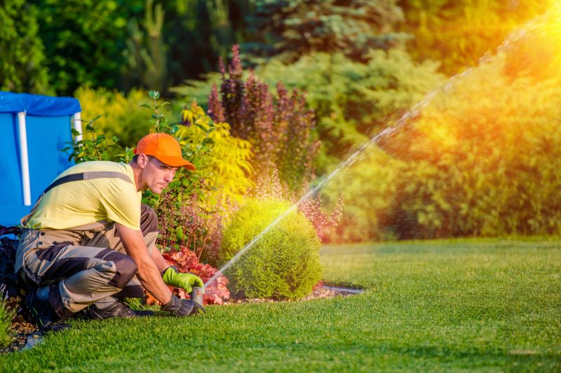 Lawn Irrigation Service