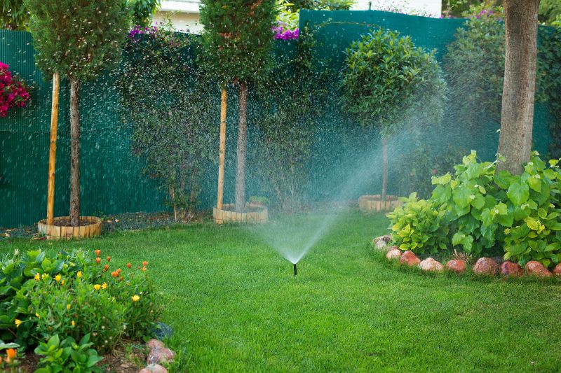 Lawn Irrigation Service