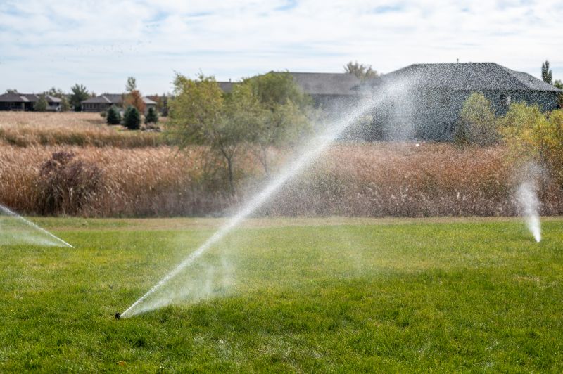 Lawn Irrigation Service