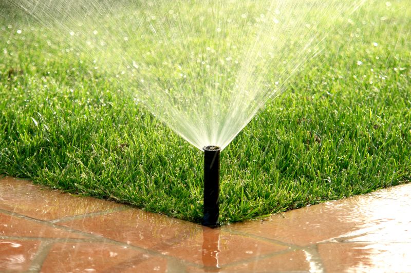 Lawn Irrigation Service