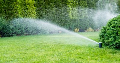 Lawn Irrigation Service