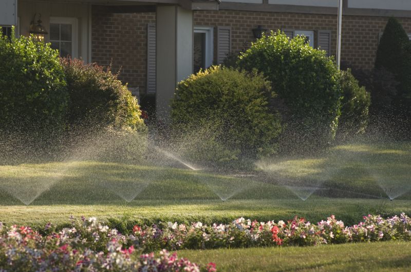 Lawn Irrigation Service