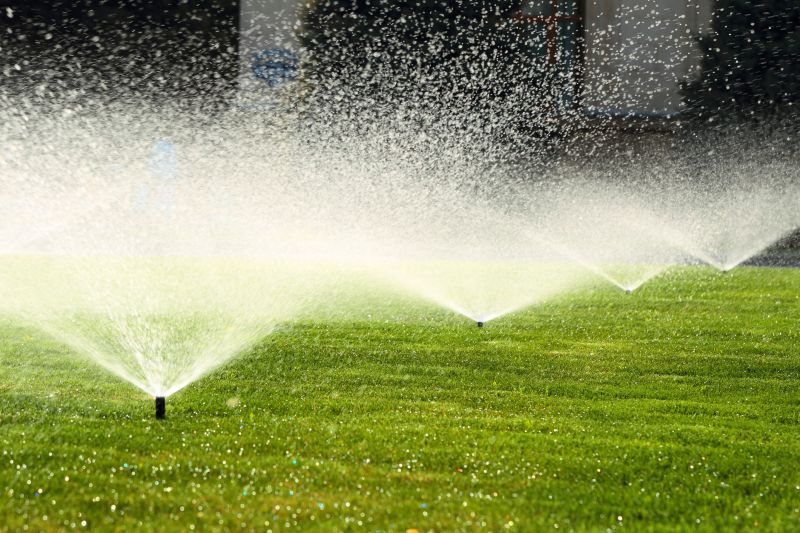 Lawn Irrigation Service